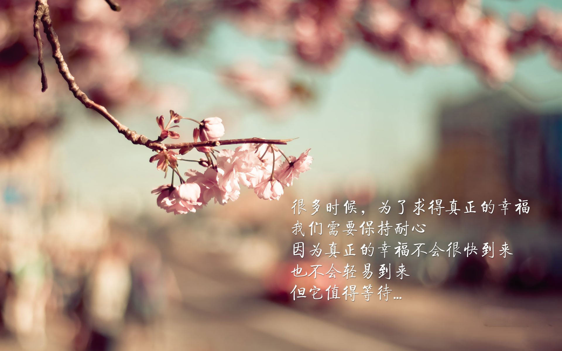 国足心理训练重视，比赛稳定性提高，国足训练视频集锦