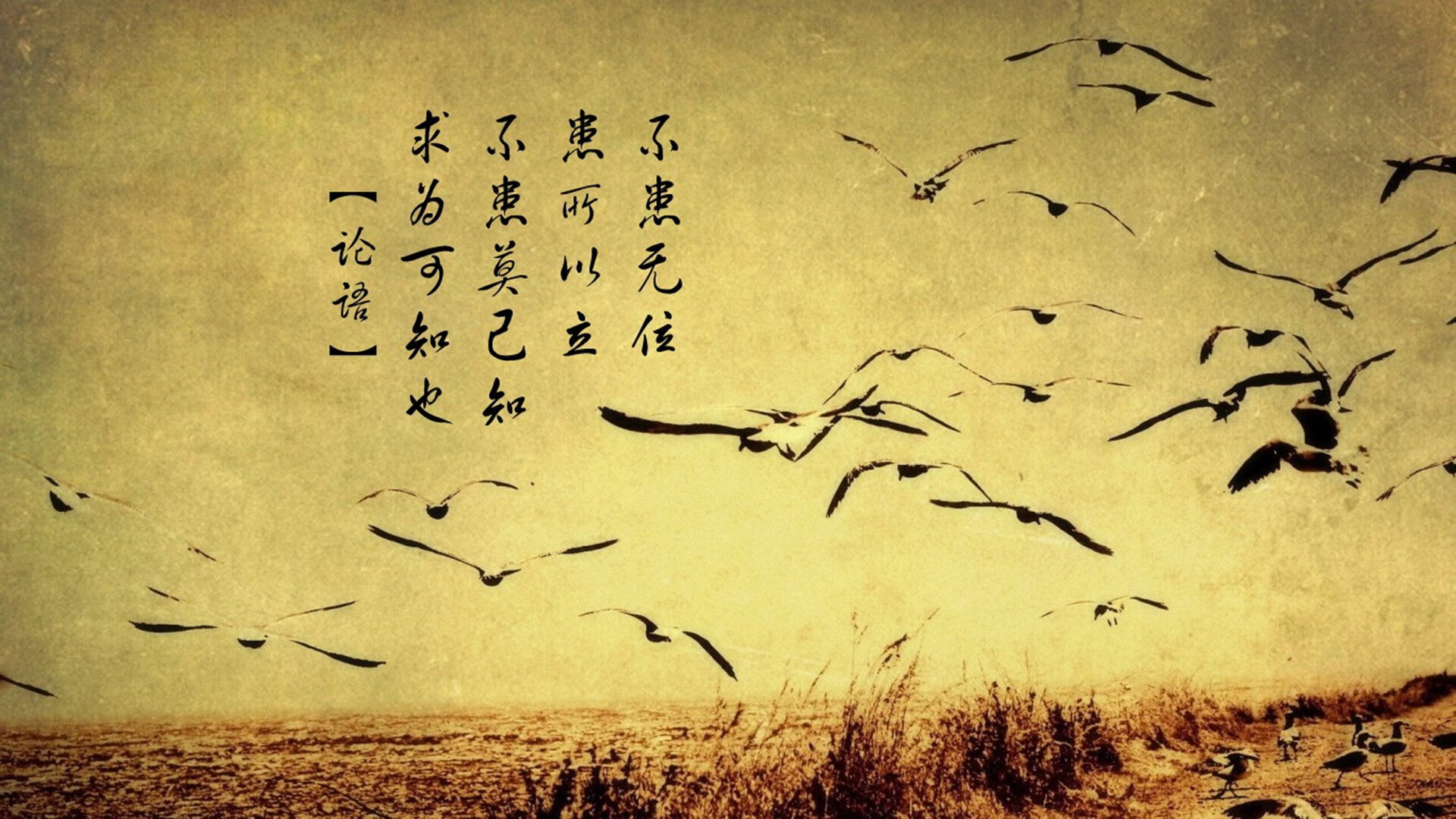 女足比赛冠军产生，球迷狂欢庆祝，女足辉煌