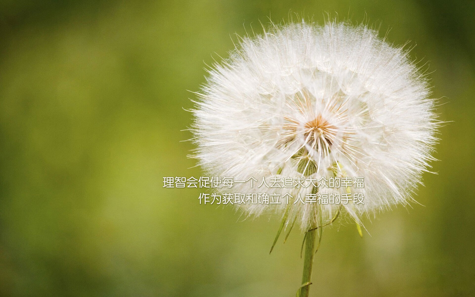 欧预赛中的一线希望：一位新晋球星崭露头角，欧预赛小组赛赛程