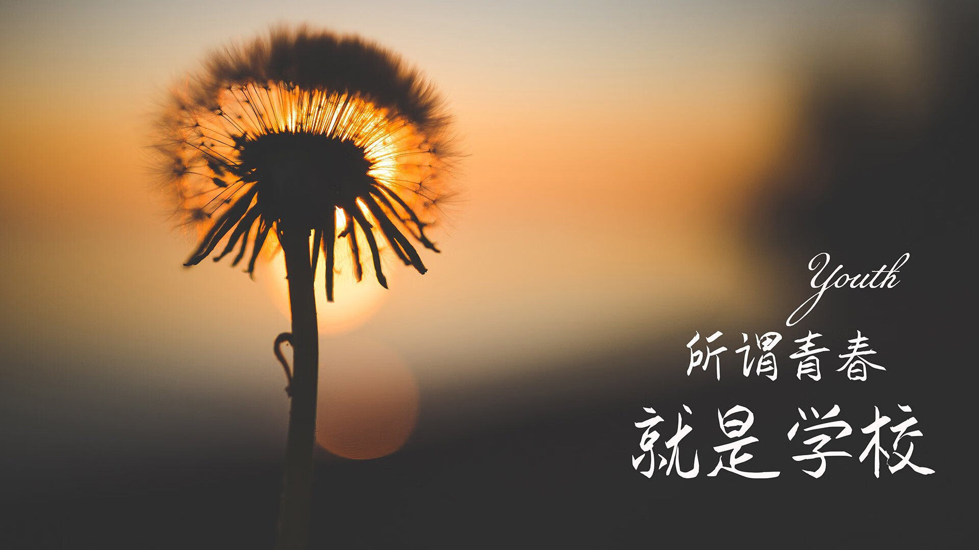 生力啤酒人主帅强调团队协作，生力啤酒价格330ml