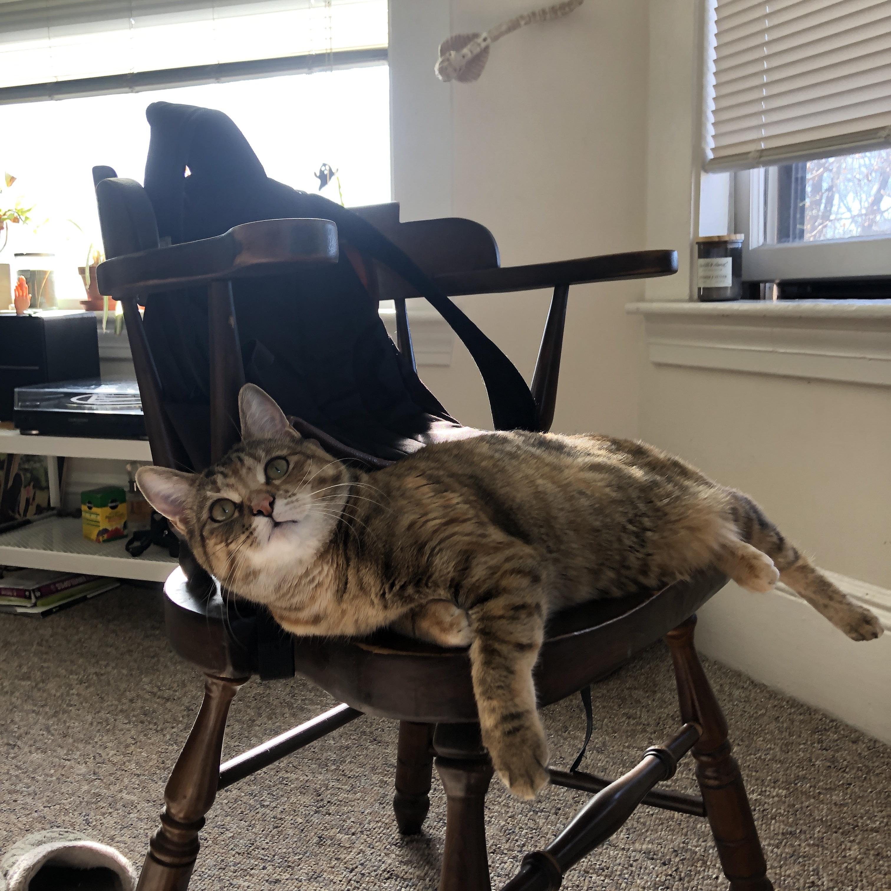 NBA联盟全球品牌联名合作策略分析,nba联名篮球