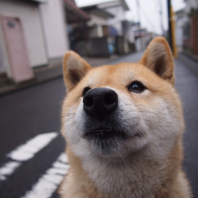 格列兹曼全场MVP,贡献关键进球,格列兹曼多高