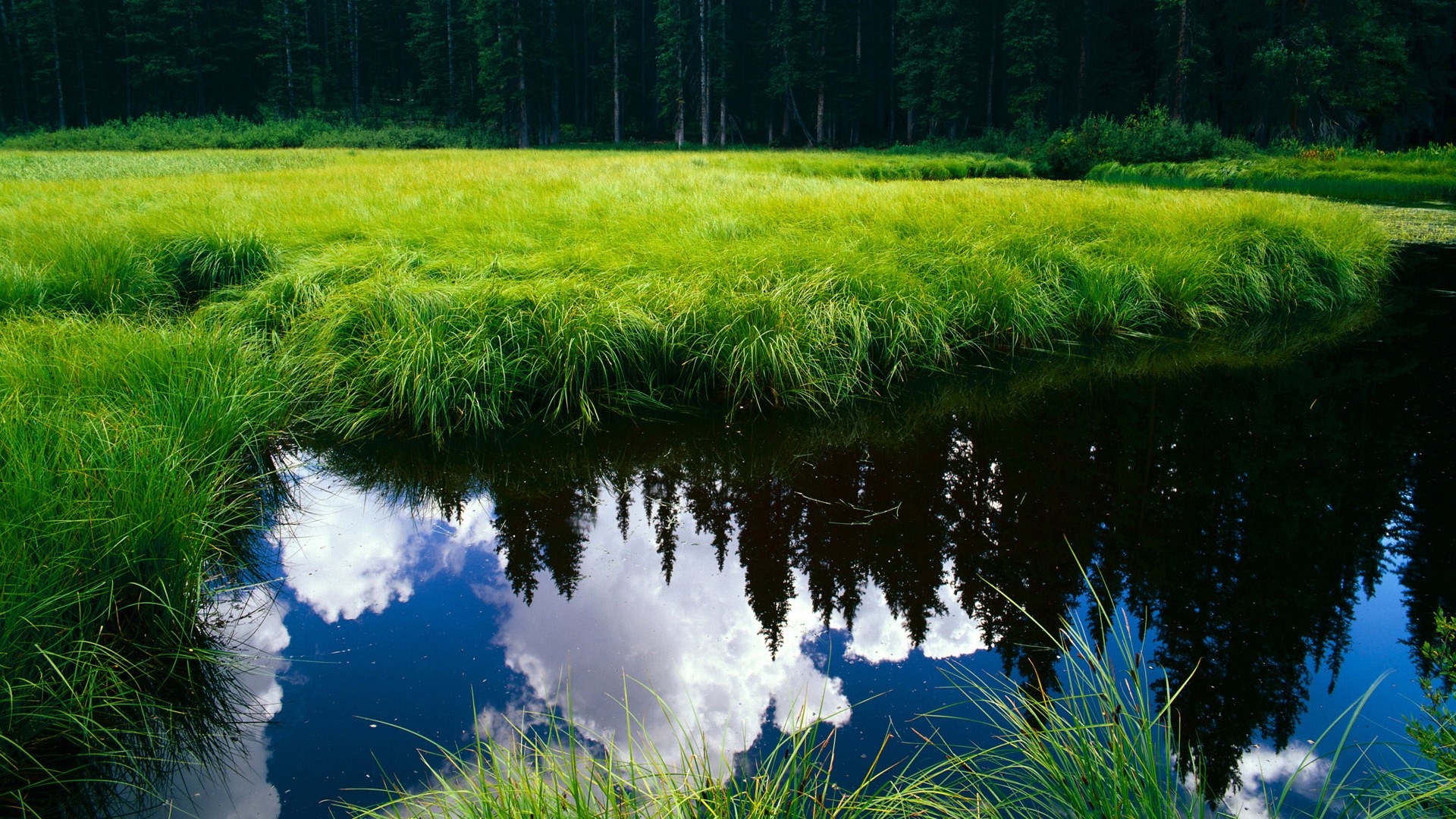 开云体育APP下载-公牛快攻效率提升多次打出反击得分，公牛胜率