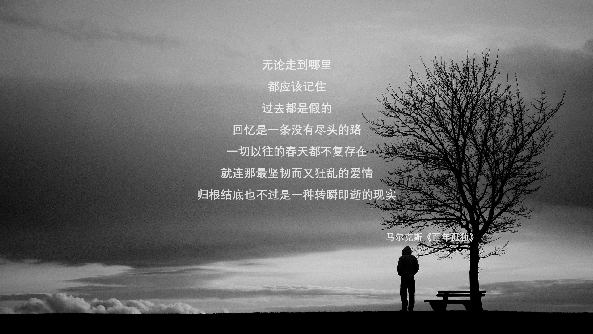 弗朗索瓦·霍尔茨豪伊泽:南非队不可或缺的核心后场球员,霍弗尔狼队