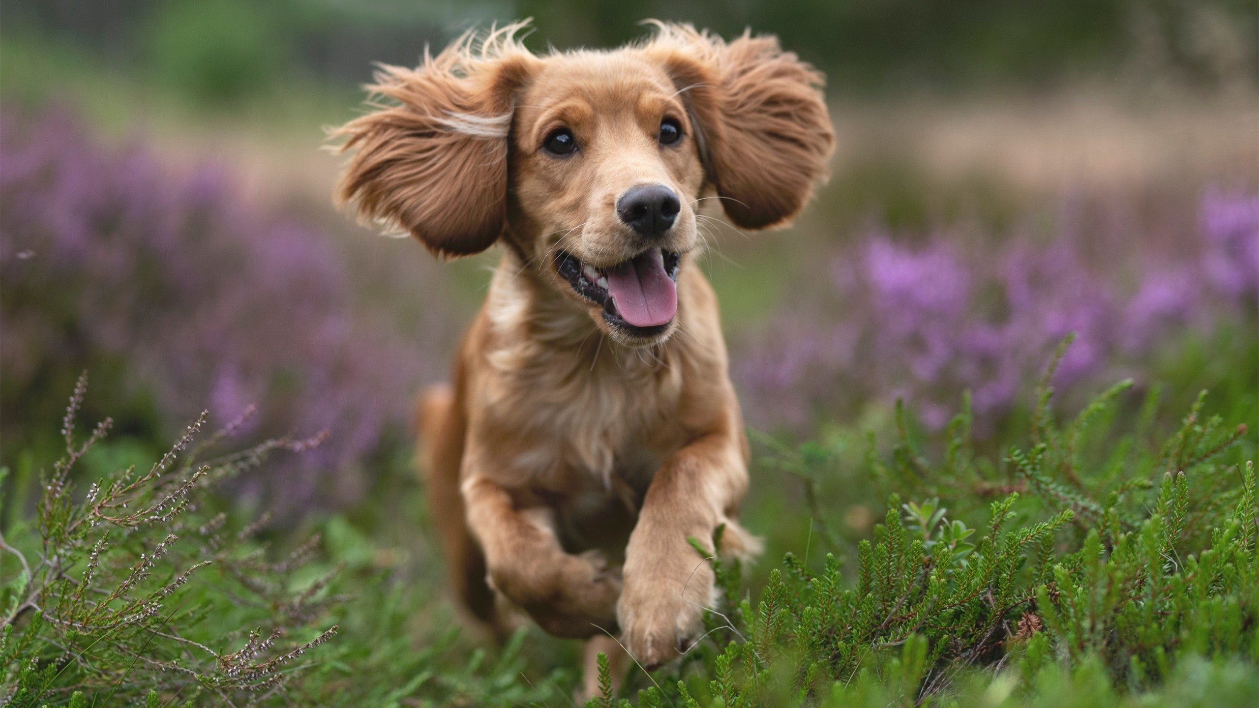 Kaiyun官方登录入口-掘金主力轮休替补阵容表现不俗，掘金队转会