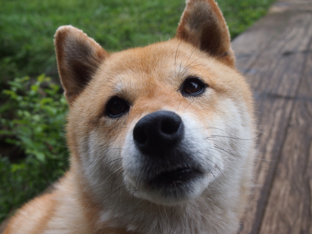 村超赛事将首次设立转播奖项鼓励地方媒体参与