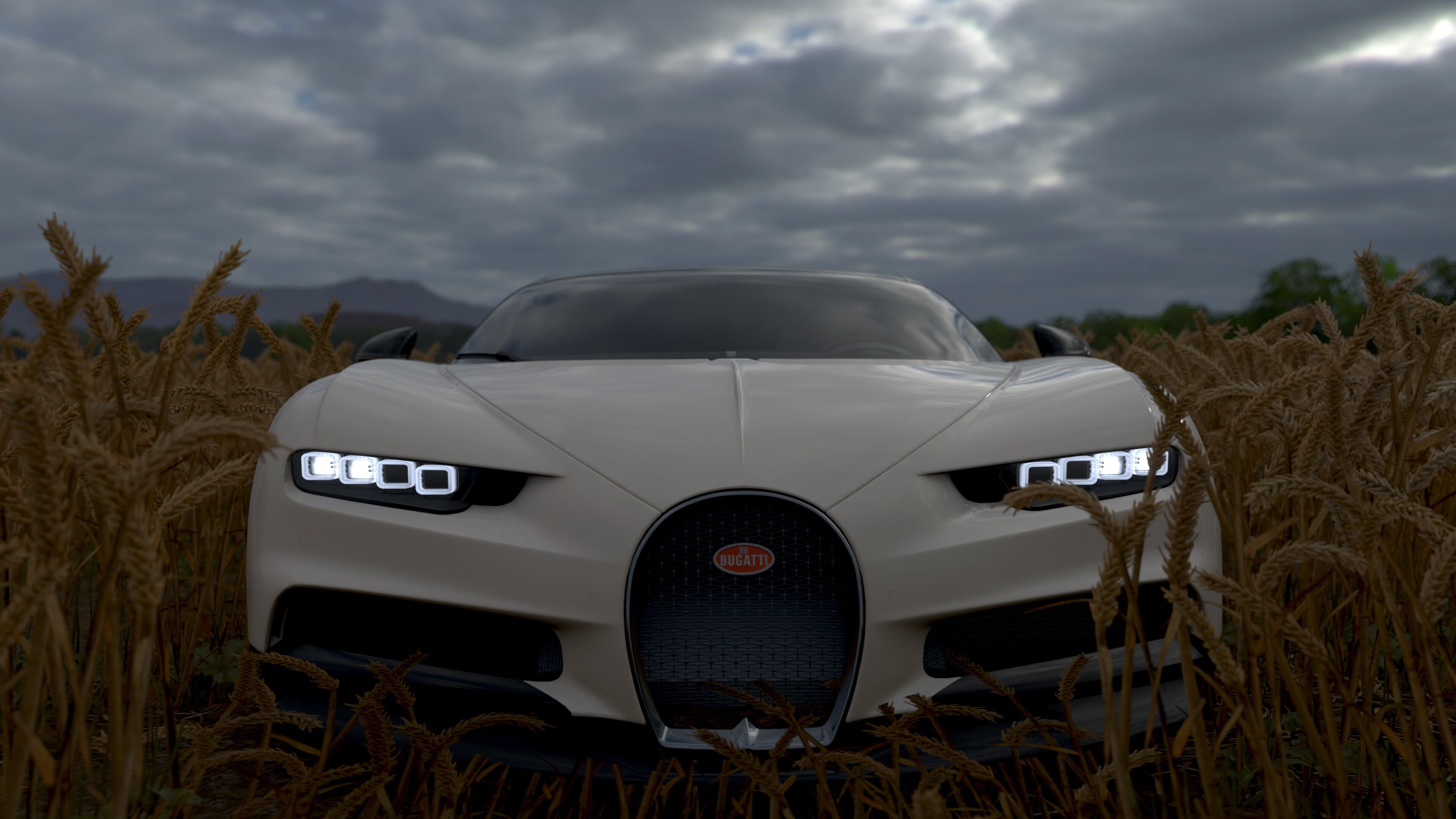 开云官方网页登录-篮网新人上场表现惊艳未来可期，篮网新队员