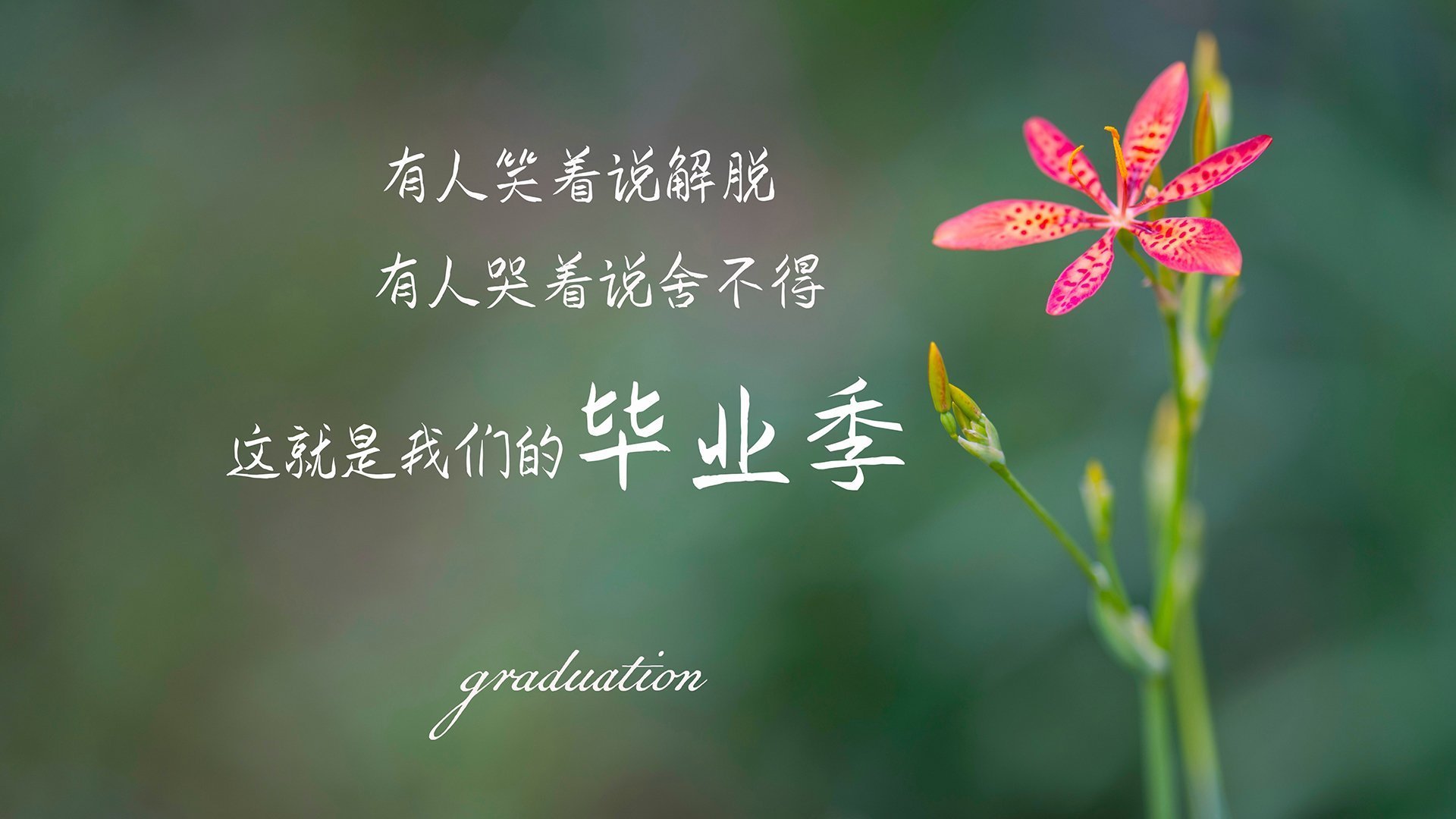 篮球训练器械更新换代提高科学训练效率减少损伤风险,篮球训练器材清单表